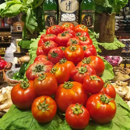 El Llar De Sofia Apartament